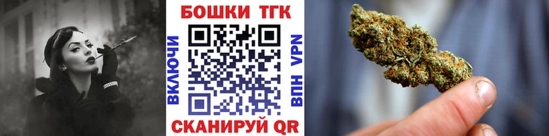 Бошки Шишки гибрид  где можно купить наркотик  Завитинск 